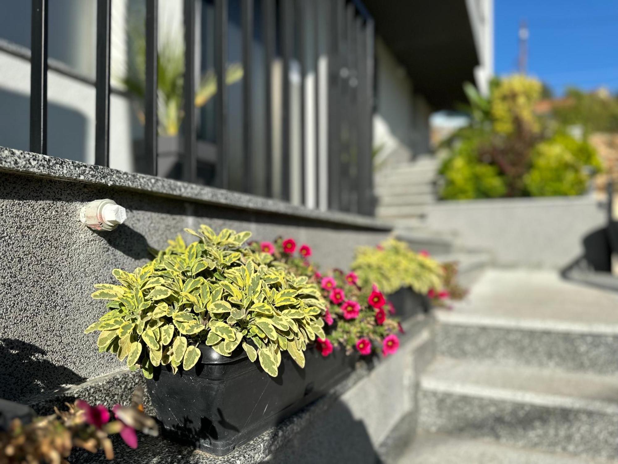 La Vista Luxury Villa オフリド エクステリア 写真